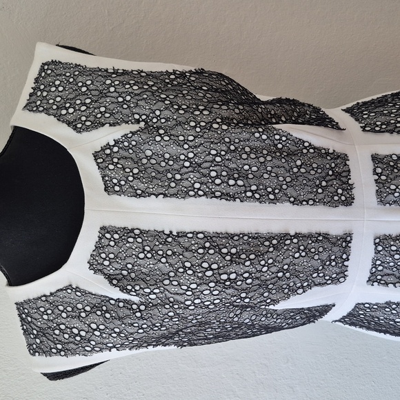 Bcbg Maxazria Rumor Dress White Black Lace Blocked Sheath Dress Size 8 - Picture 6 of 17